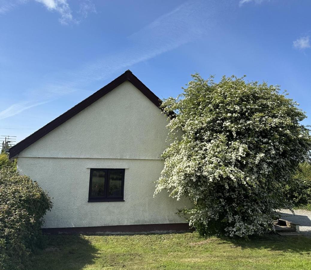 3 Bed Detached Cottage- Log Burner Mountain Views Beaumaris Zewnętrze zdjęcie