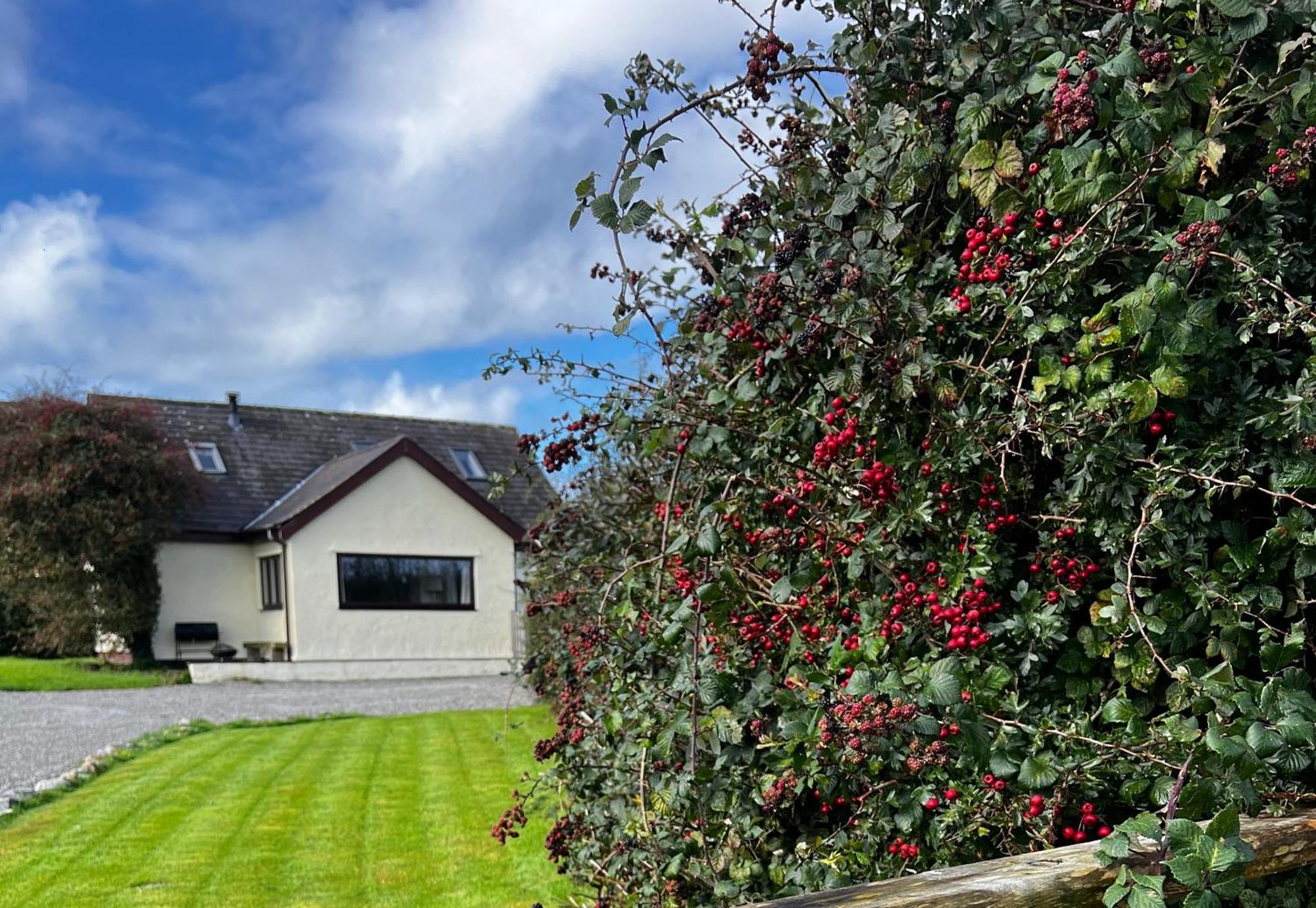 3 Bed Detached Cottage- Log Burner Mountain Views Beaumaris Zewnętrze zdjęcie